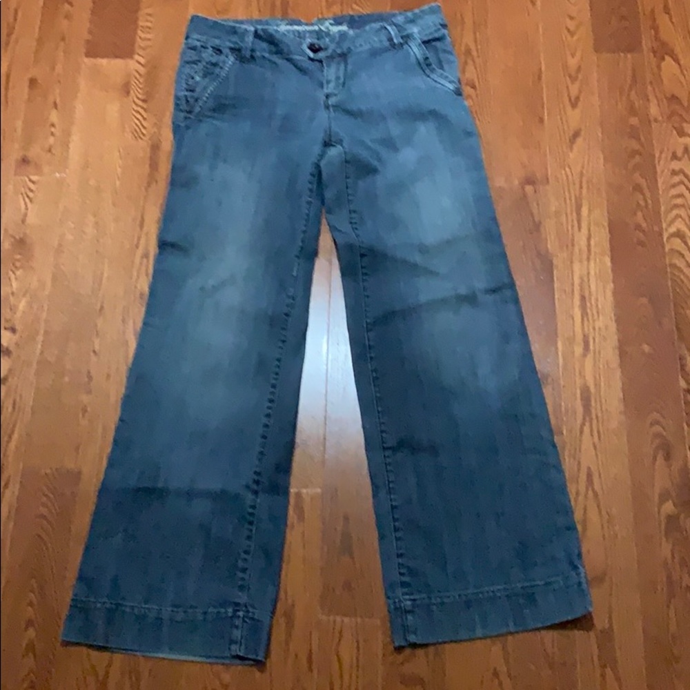 American Eagle Jeans - 10 Reg